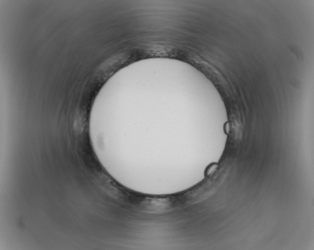 X0000113160665200910021502