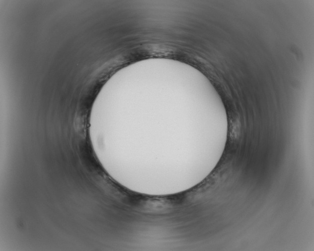 X0000113160666200910021502