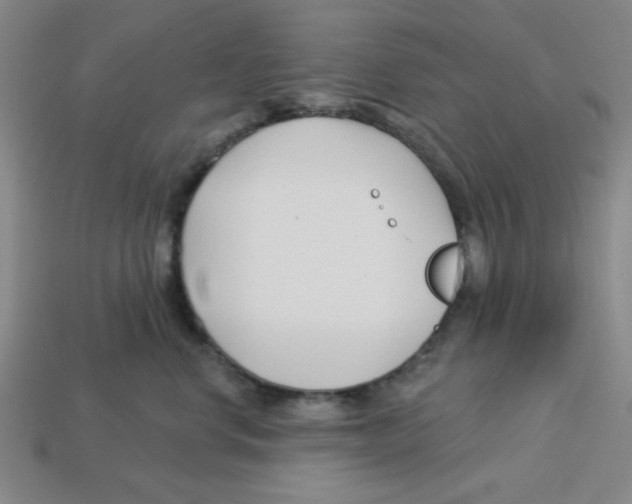 X0000113160668200910021502