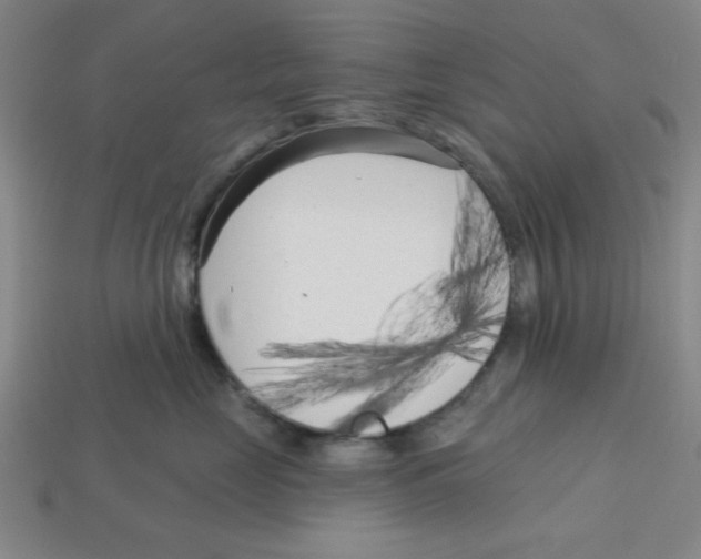 X0000113160669200910021502