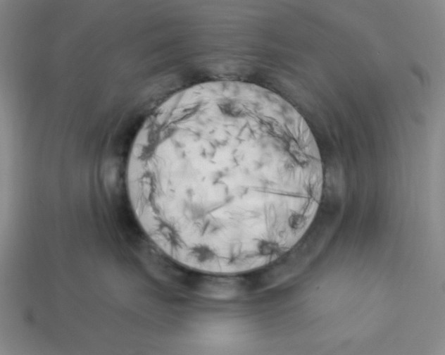 X0000113160671200910021502