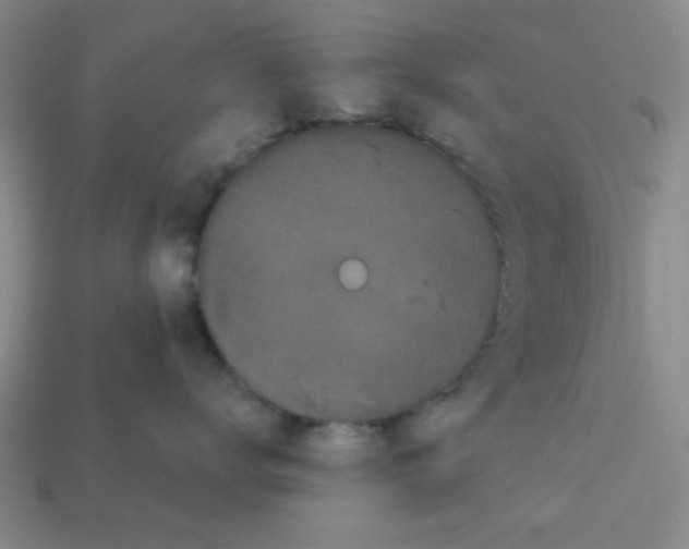 X0000113160672200910021502