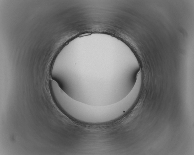 X0000113160673200910021502