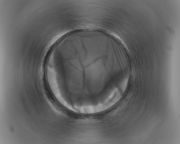 X0000113160674200910021502