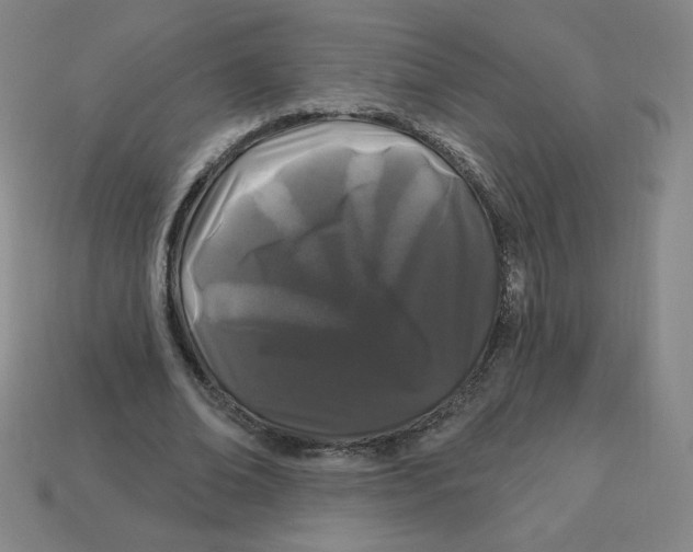 X0000113160678200910021502