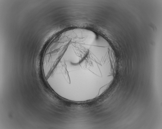 X0000113160679200910021502