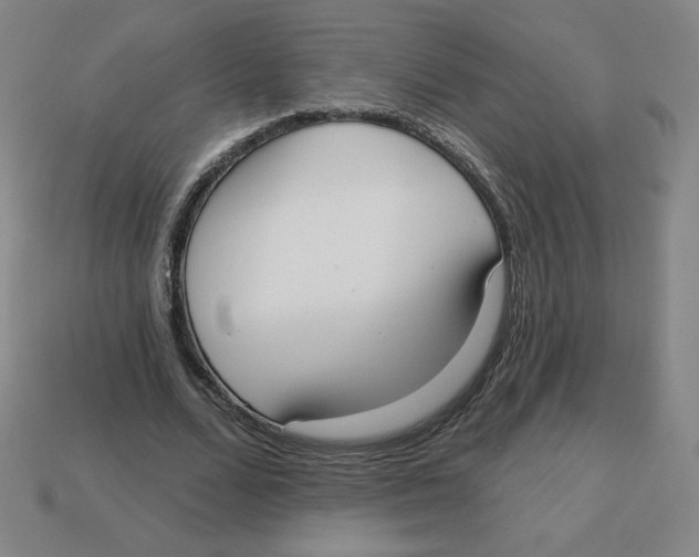 X0000113160680200910021502