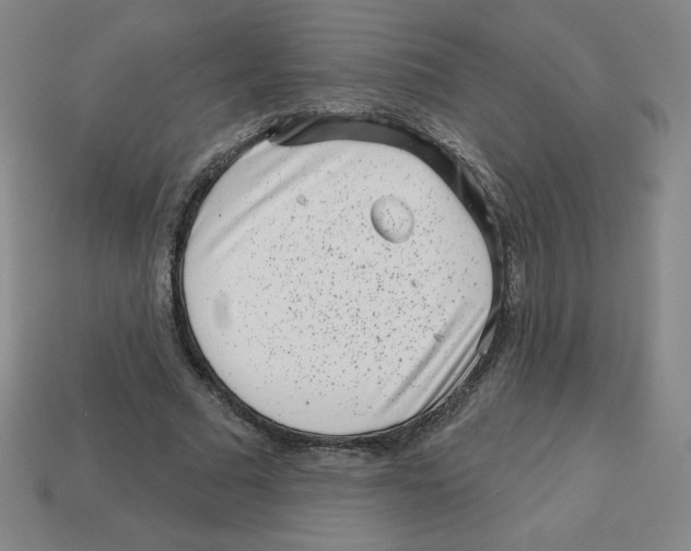 X0000113160681200910021502