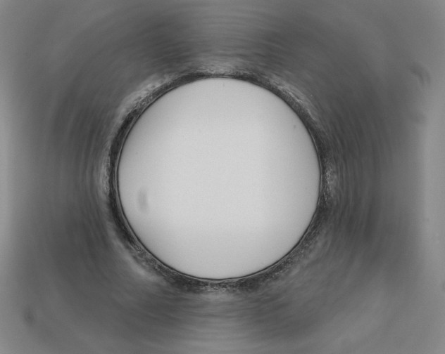 X0000113160682200910021502