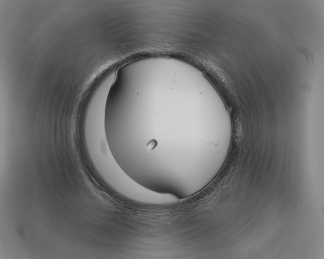 X0000113160684200910021501