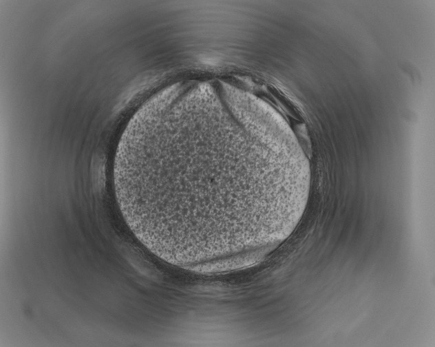 X0000113160685200910021501