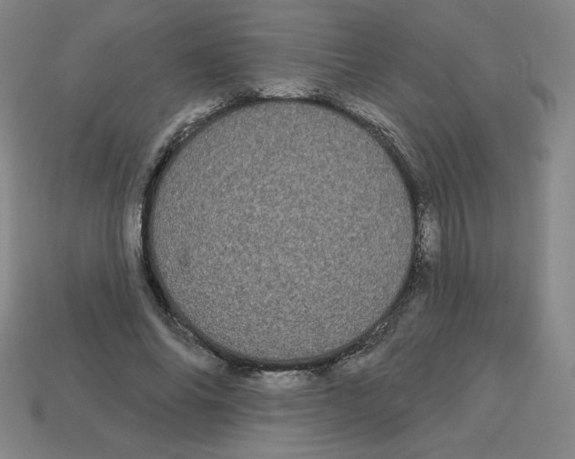 X0000113160686200910021501