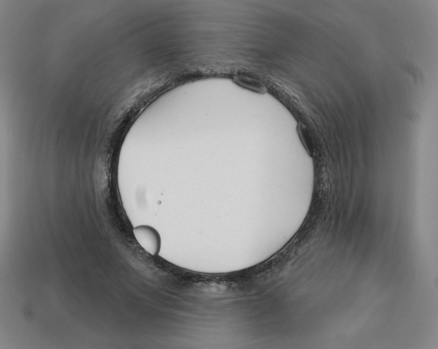 X0000113160687200910021501