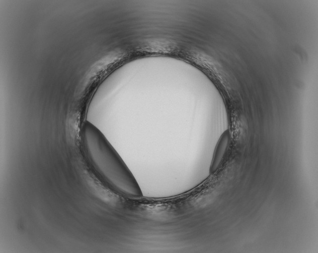 X0000113160688200910021501