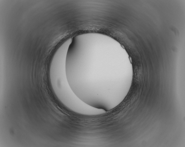 X0000113160692200910021501