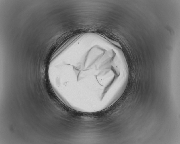 X0000113160693200910021501