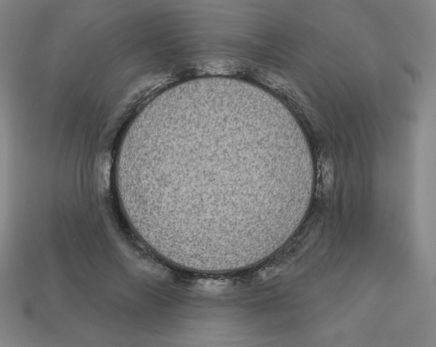 X0000113160694200910021501