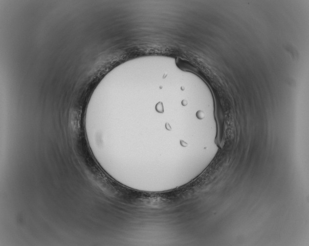 X0000113160695200910021501