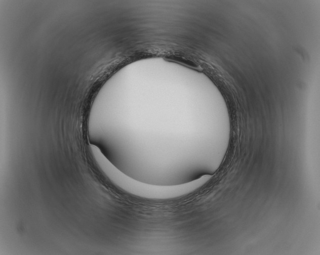 X0000113160696200910021501