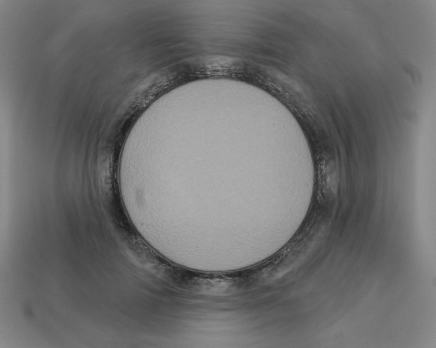 X0000113160698200910021501