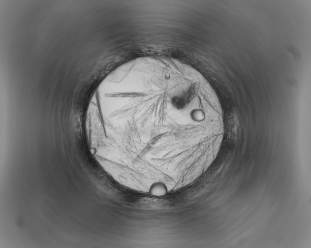 X0000113160699200910021501