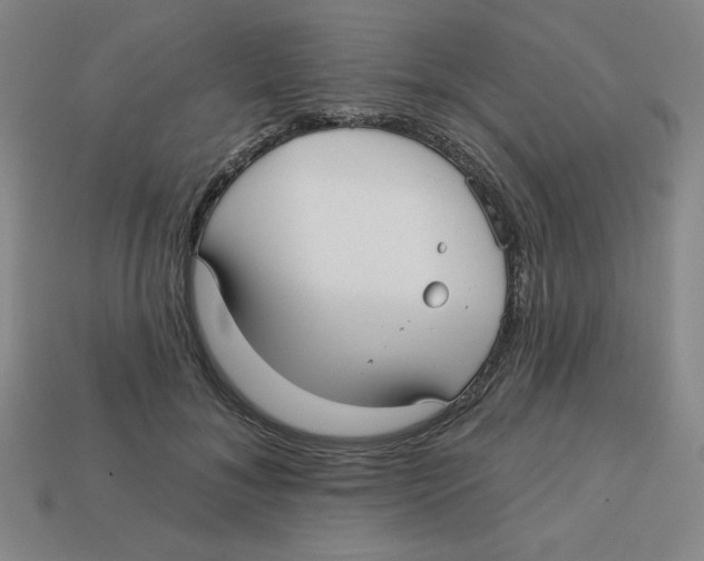 X0000113160700200910021501