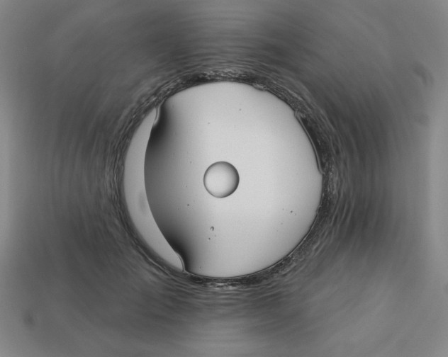 X0000113160701200910021501