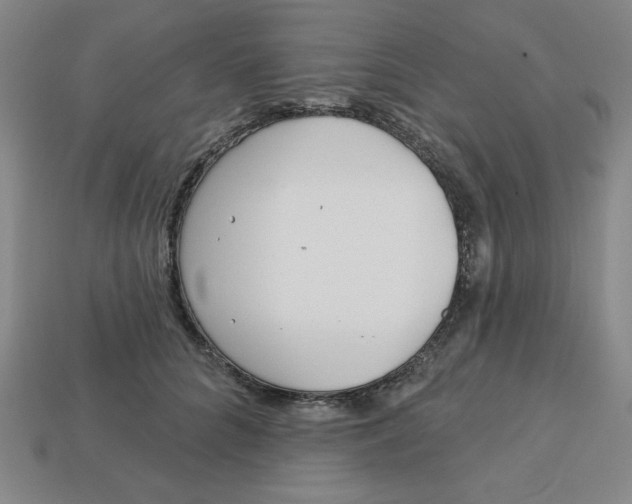 X0000113160704200910021501