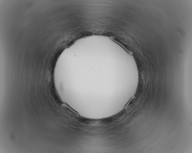 X0000113160705200910021501