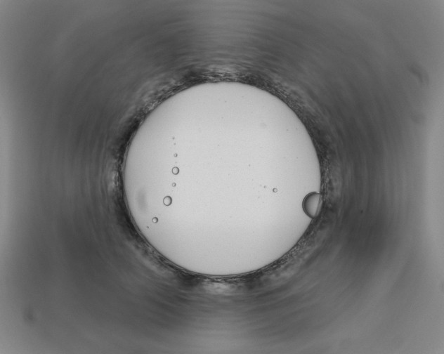 X0000113160706200910021501