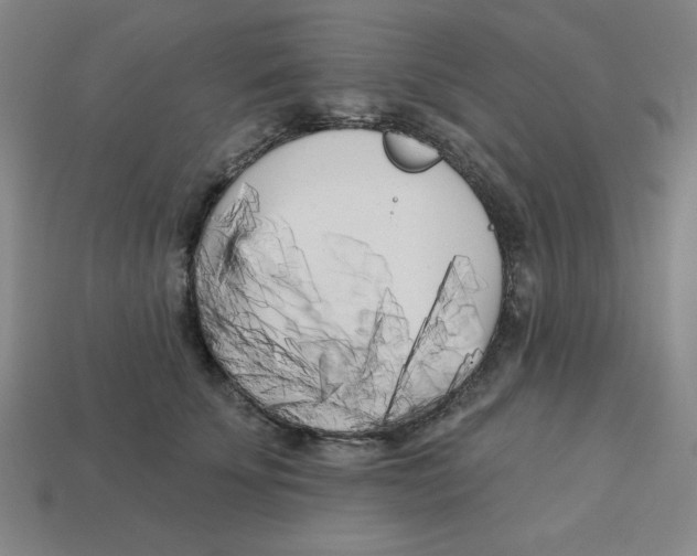 X0000113160707200910021501