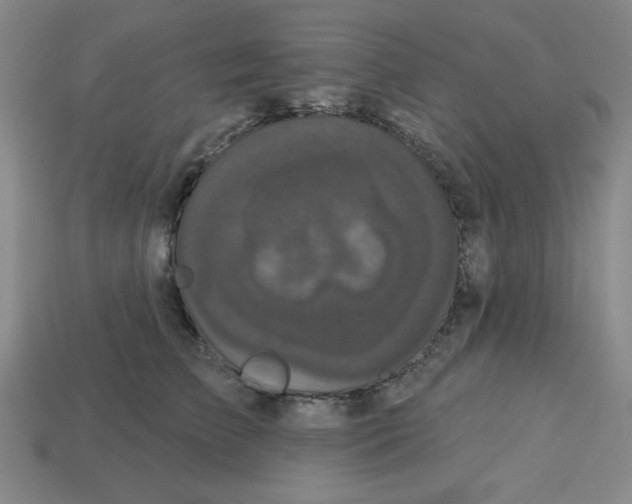 X0000113160709200910021501