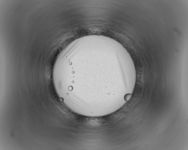 X0000113160710200910021501