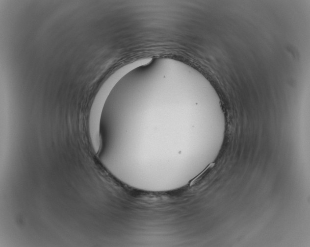 X0000113160712200910021501