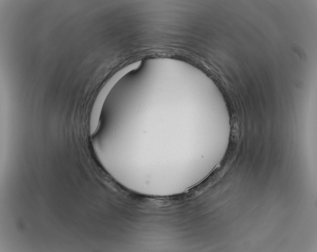 X0000113160713200910021501