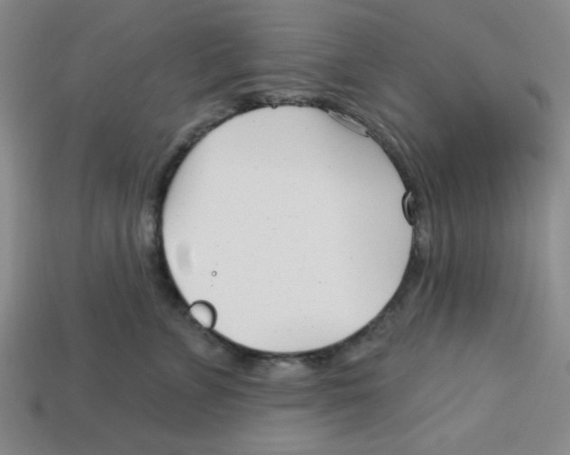 X0000113160715200910021501