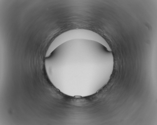 X0000113160716200910021501