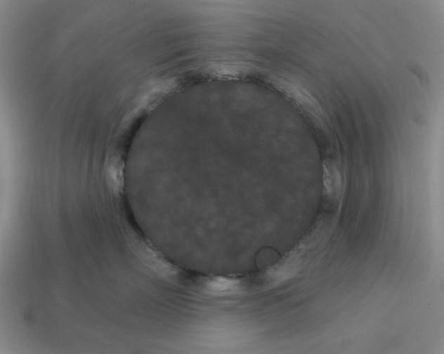 X0000113160718200910021501