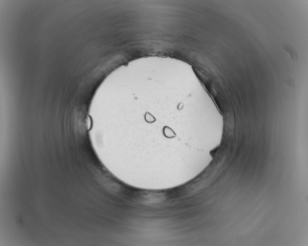 X0000113160719200910021501