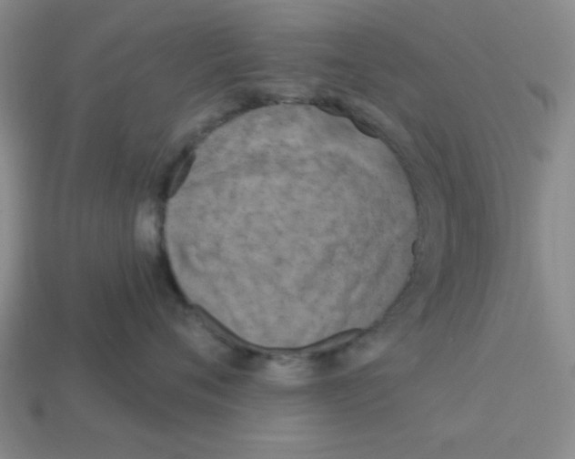 X0000113160720200910021501