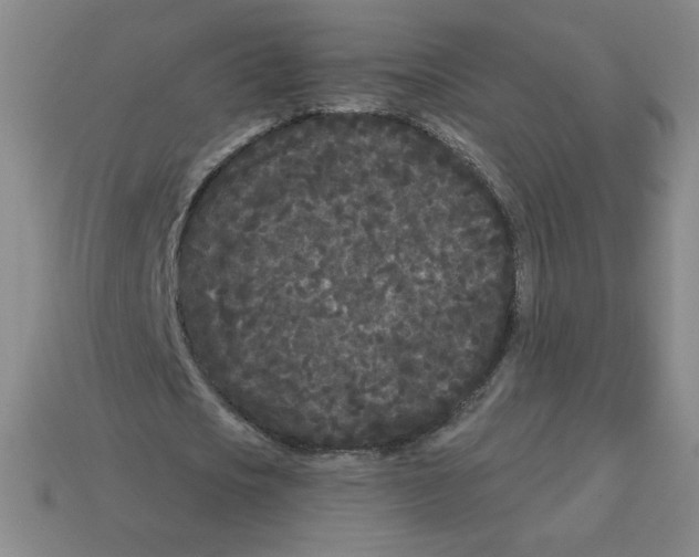 X0000113160721200910021500