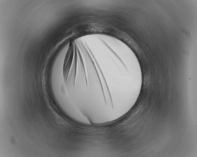 X0000113160722200910021500