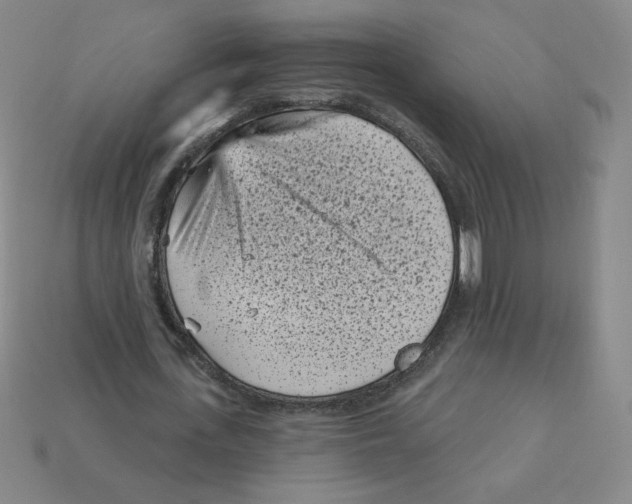 X0000113160723200910021500