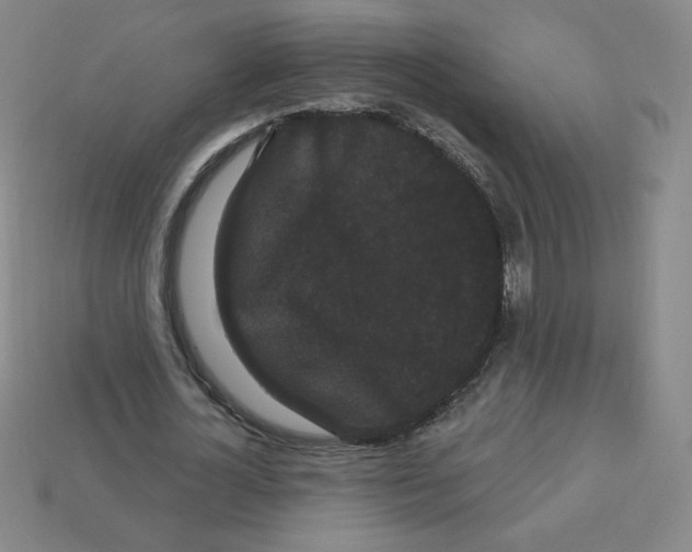 X0000113160724200910021500