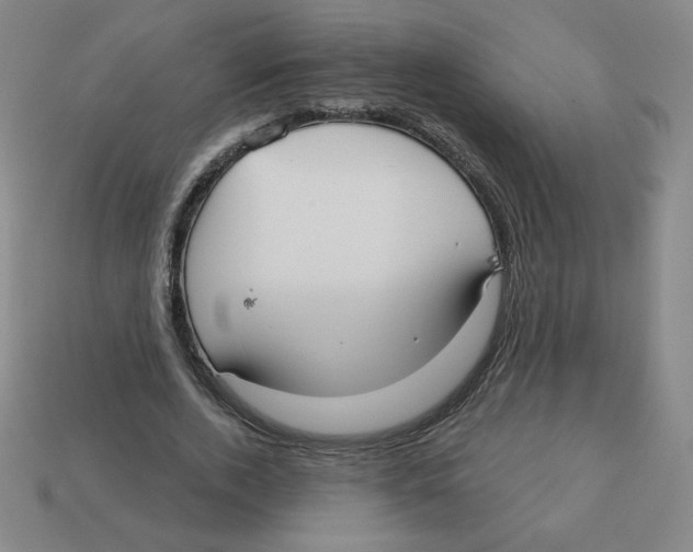 X0000113160728200910021501