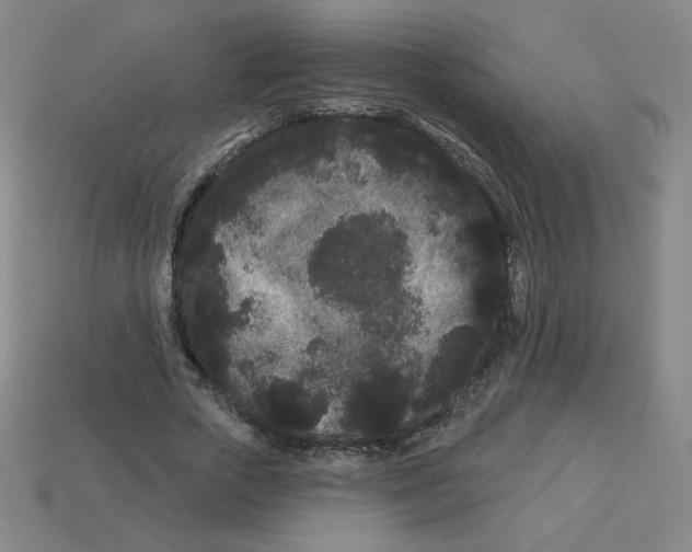 X0000113160729200910021501