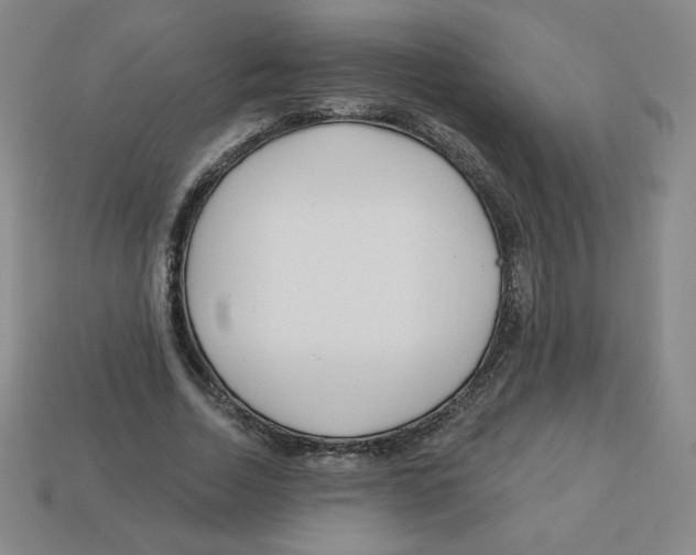 X0000113160730200910021501