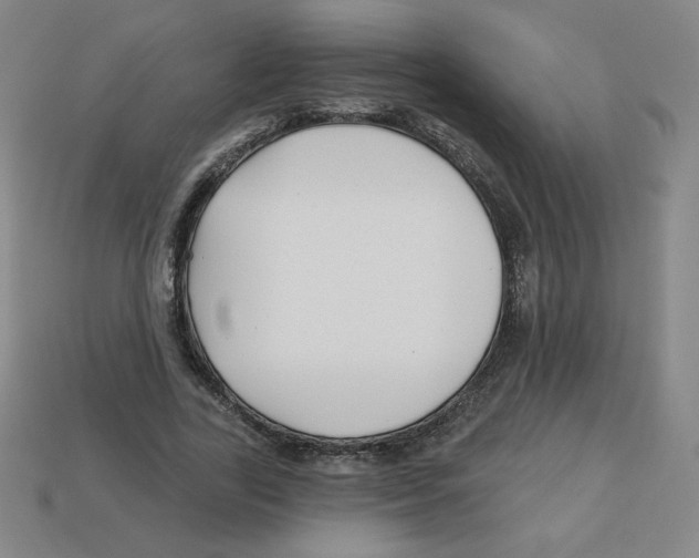 X0000113160731200910021501