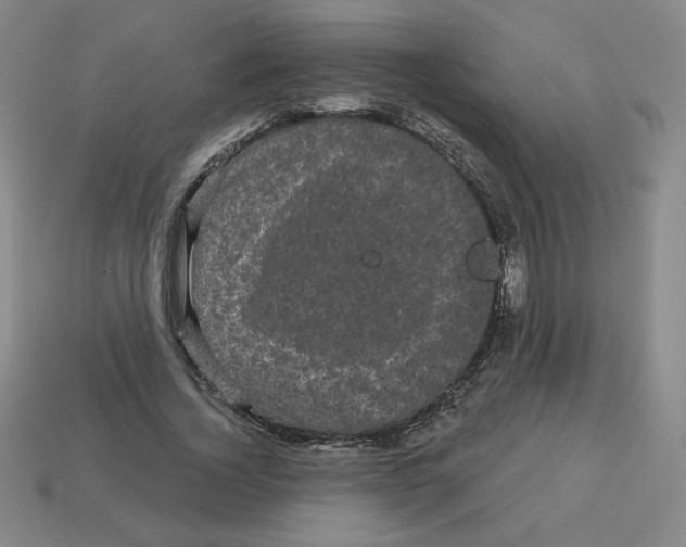 X0000113160732200910021501