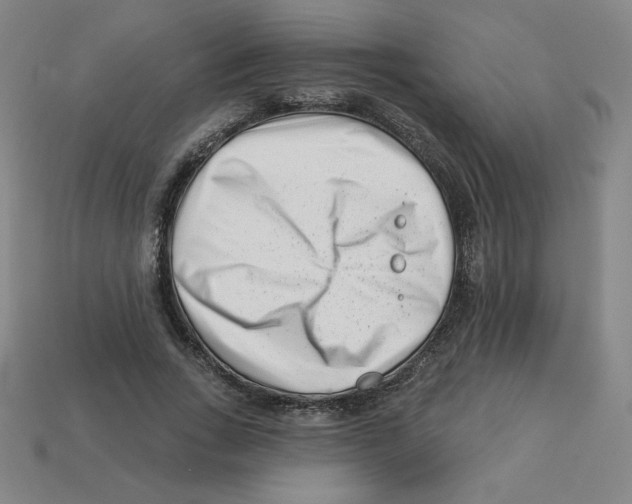 X0000113160735200910021501